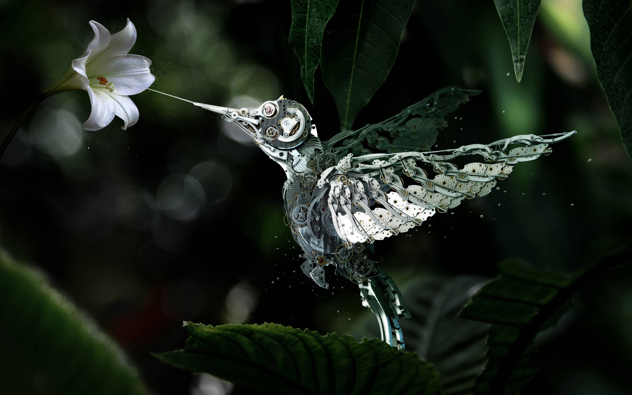tag, Heuer, Colibri, Advertising Wallpaper