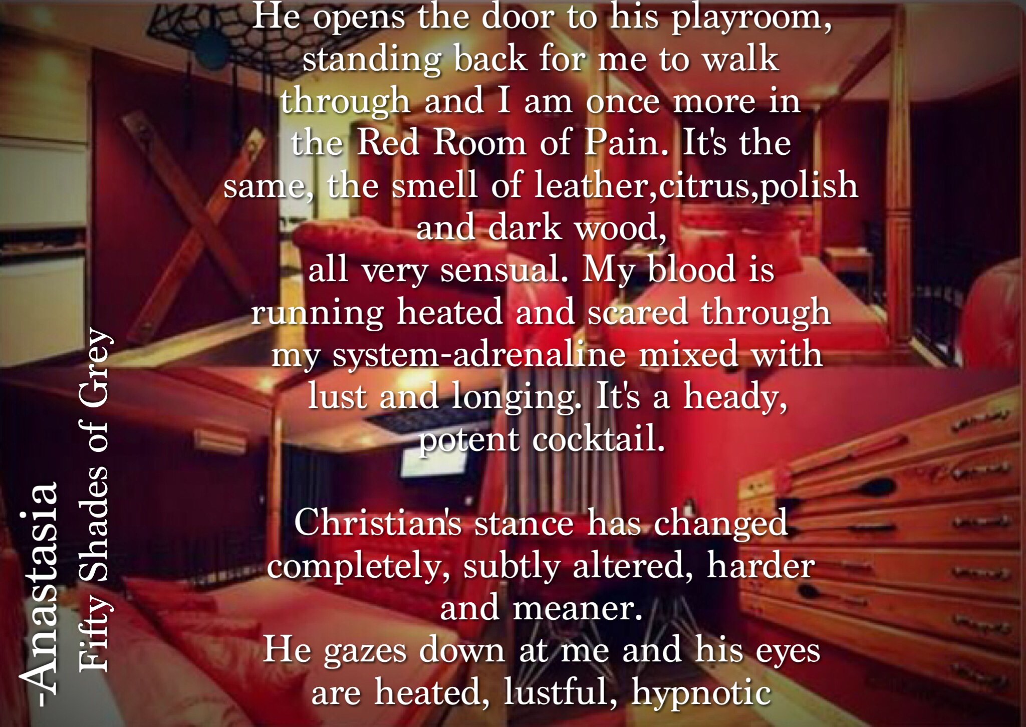 red room 50 shades of grey