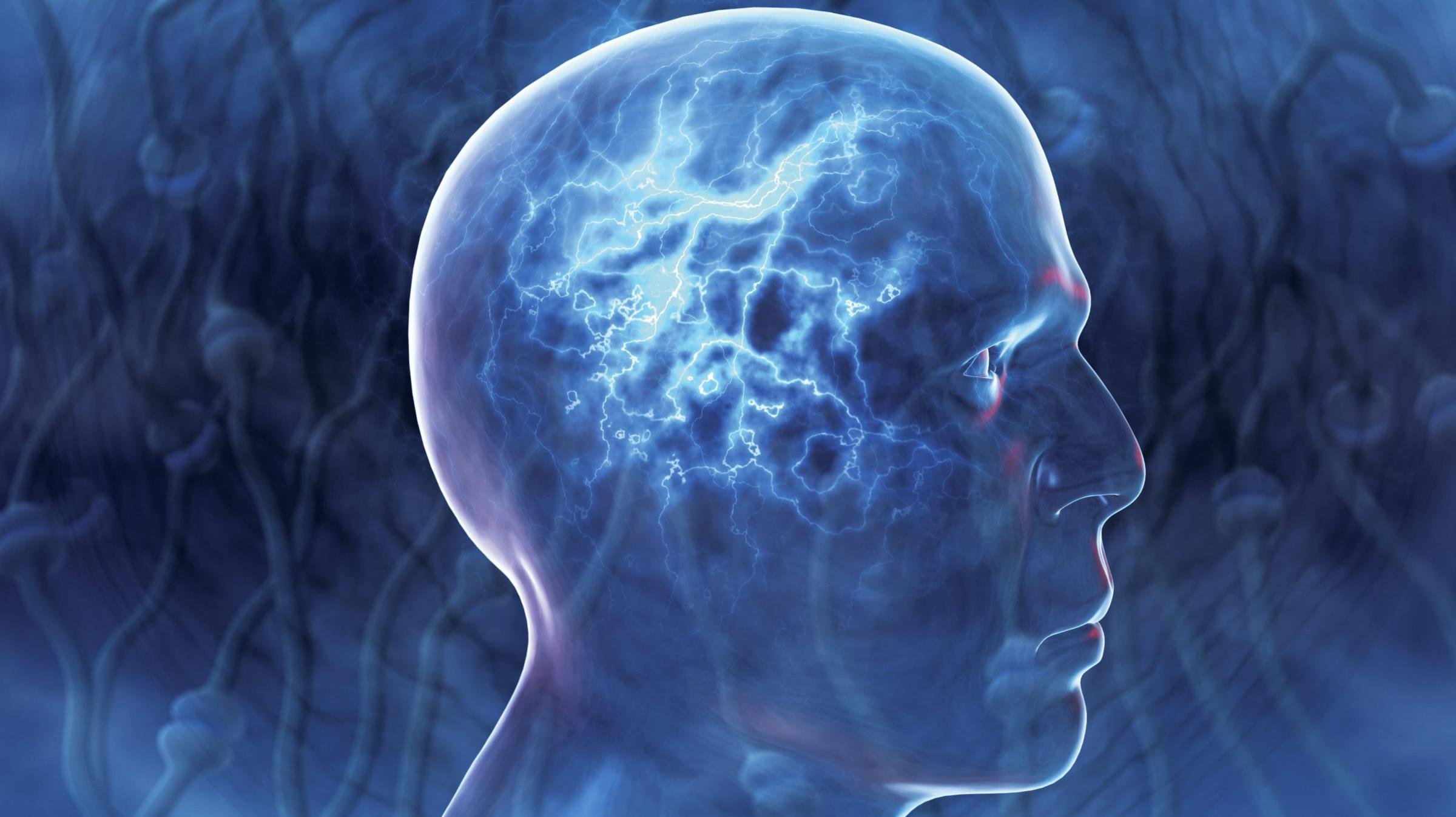 brain, Anatomy, Medical, Head, Skull, Digital, 3 d, X ray, Xray, Psychedelic Wallpaper