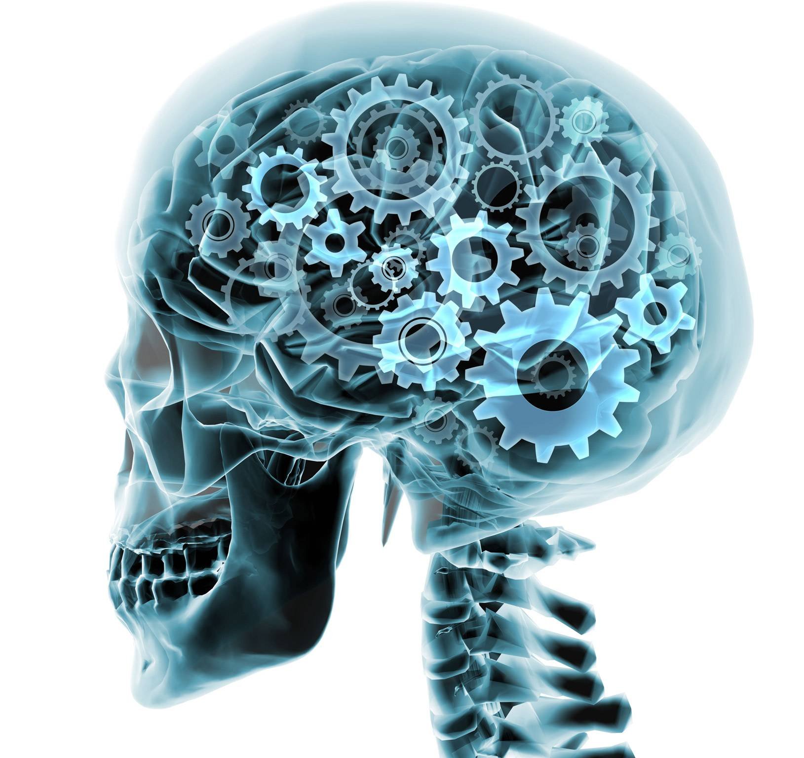brain, Anatomy, Medical, Head, Skull, Digital, 3 d, X ray, Xray, Psychedelic, Gears, Gear Wallpaper