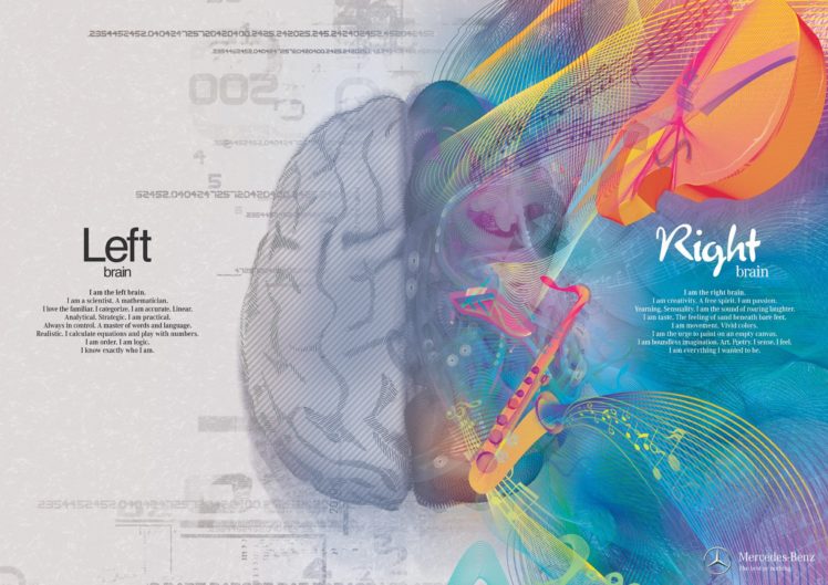 brain, Anatomy, Medical, Head, Skull, Poster, Psychedelic HD Wallpaper Desktop Background