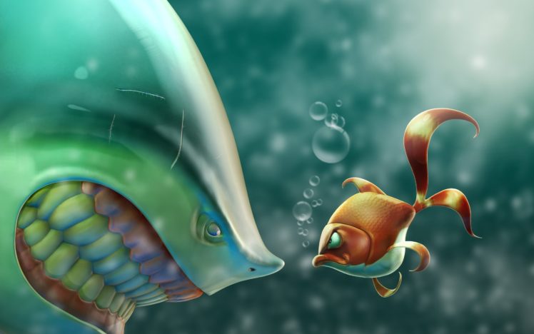fish, Animation, Animal, Cute HD Wallpaper Desktop Background