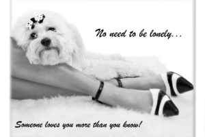 lonely, Mood, Sad, Alone, Sadness, Emotion, People, Loneliness, Solitude, Poster, Legs, Dog, Girl