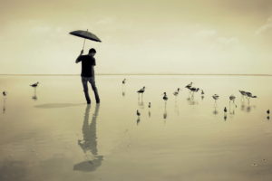 guy, Sea, Umbrella, Birds, Mood