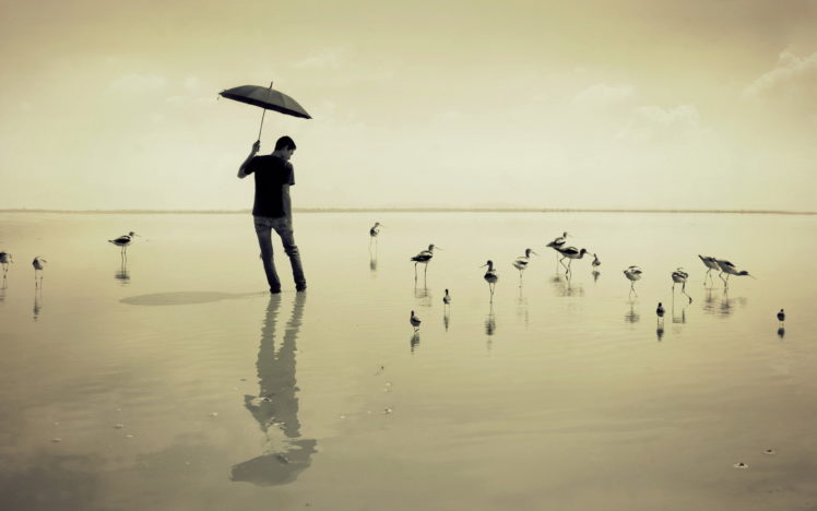 guy, Sea, Umbrella, Birds, Mood HD Wallpaper Desktop Background