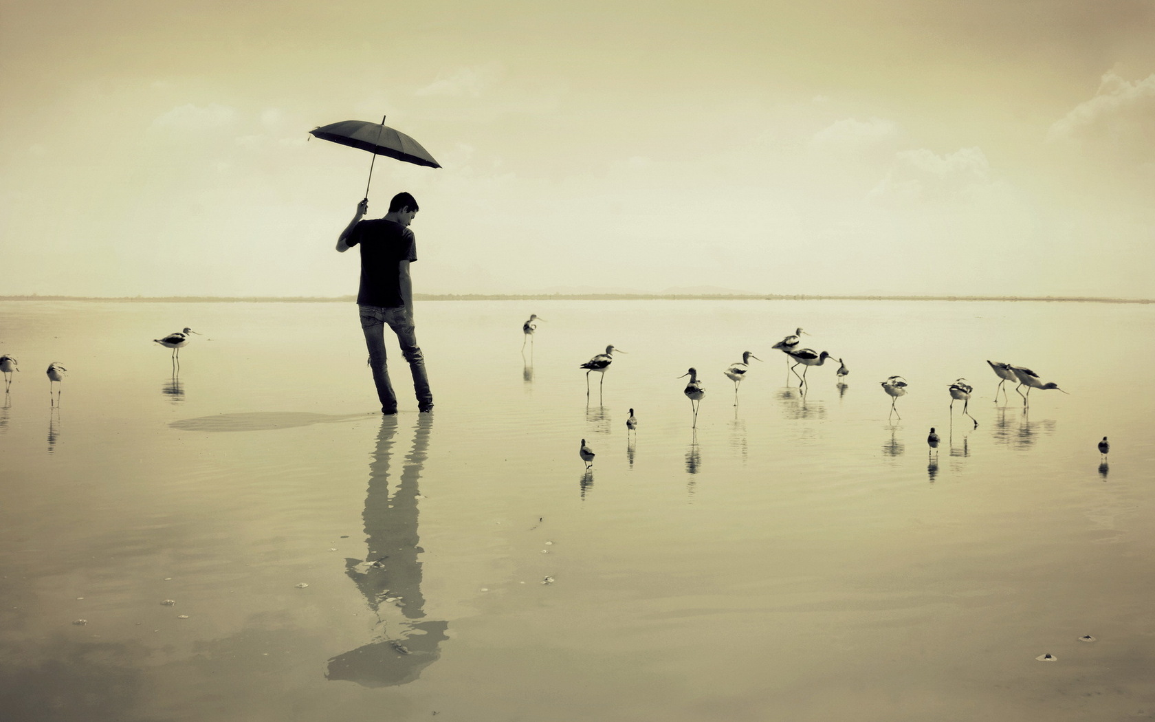 guy, Sea, Umbrella, Birds, Mood Wallpaper