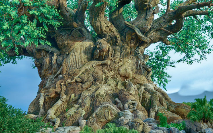 tree, Branch, Carved, Figure, Animal, Owls, Birds, Landscapes HD Wallpaper Desktop Background