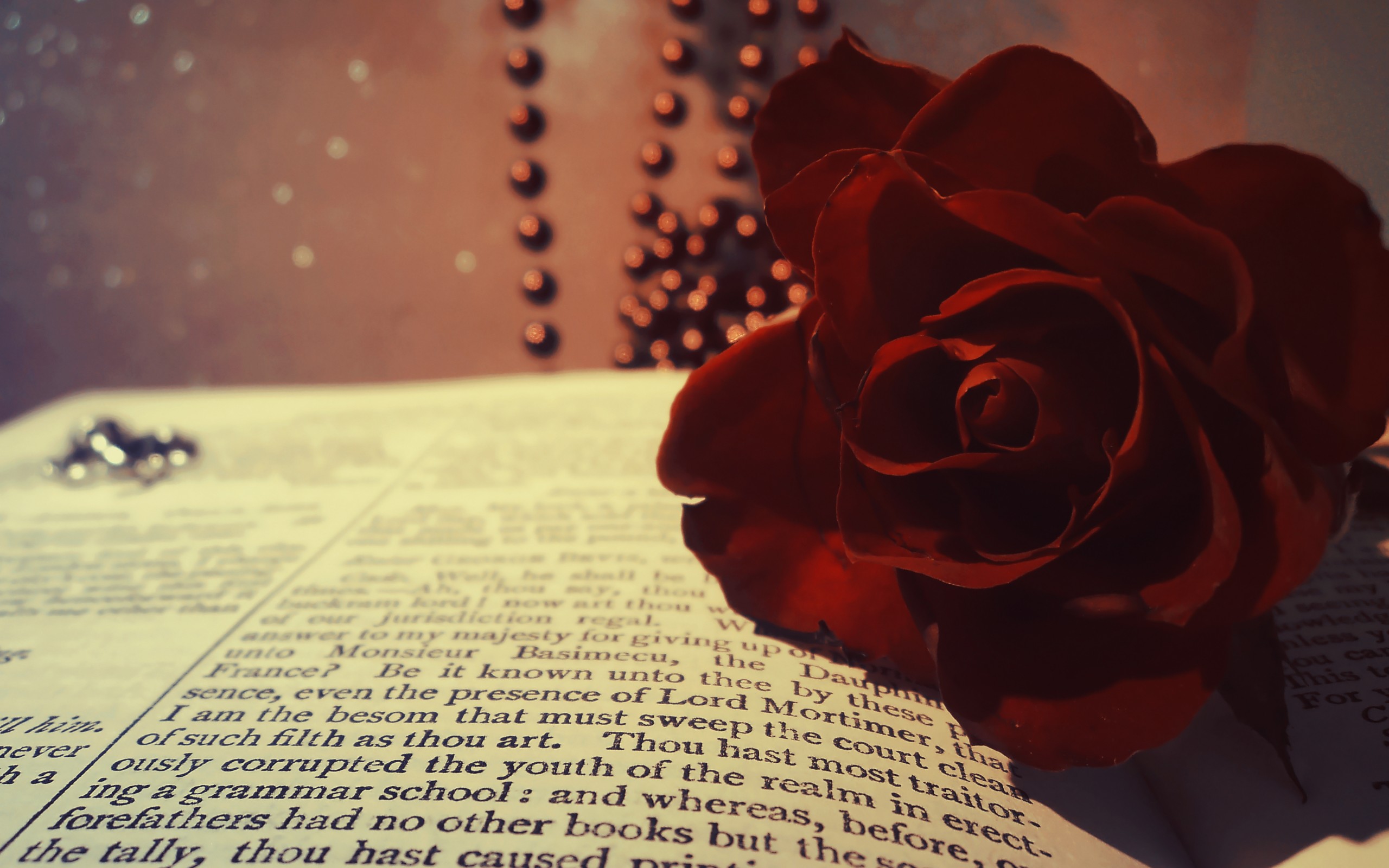 book, Rose, Red, Burgundy, Flower, Beads, Macro, Bokeh Wallpaper