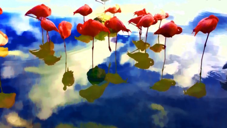 abstracto, Flamingos HD Wallpaper Desktop Background