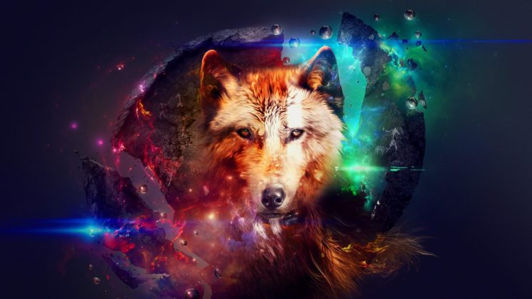 abstravto, Wolf HD Wallpaper Desktop Background