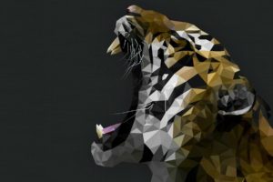 tiger, Predator, Cat, Artwork