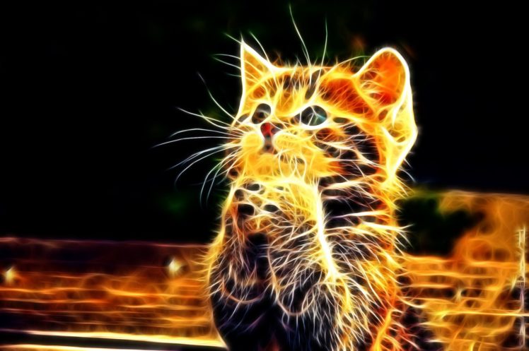 3d, Animal, Background, Cat, Cute HD Wallpaper Desktop Background