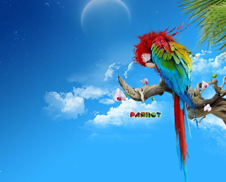 creative, Design, 3d, Animal, Sky HD Wallpaper Desktop Background