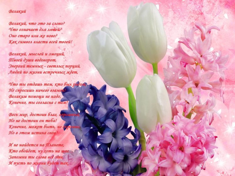 flowers, Poetry, Love, Bouquet HD Wallpaper Desktop Background
