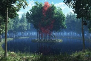 render, Island, Lake, Forest, Grass, Leaves, Trees