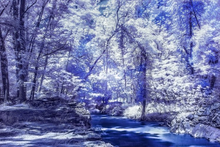 river, Forest, Trees, Night HD Wallpaper Desktop Background