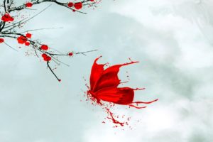 clouds, Branch, Sky, Butterfly, Paint, Blood