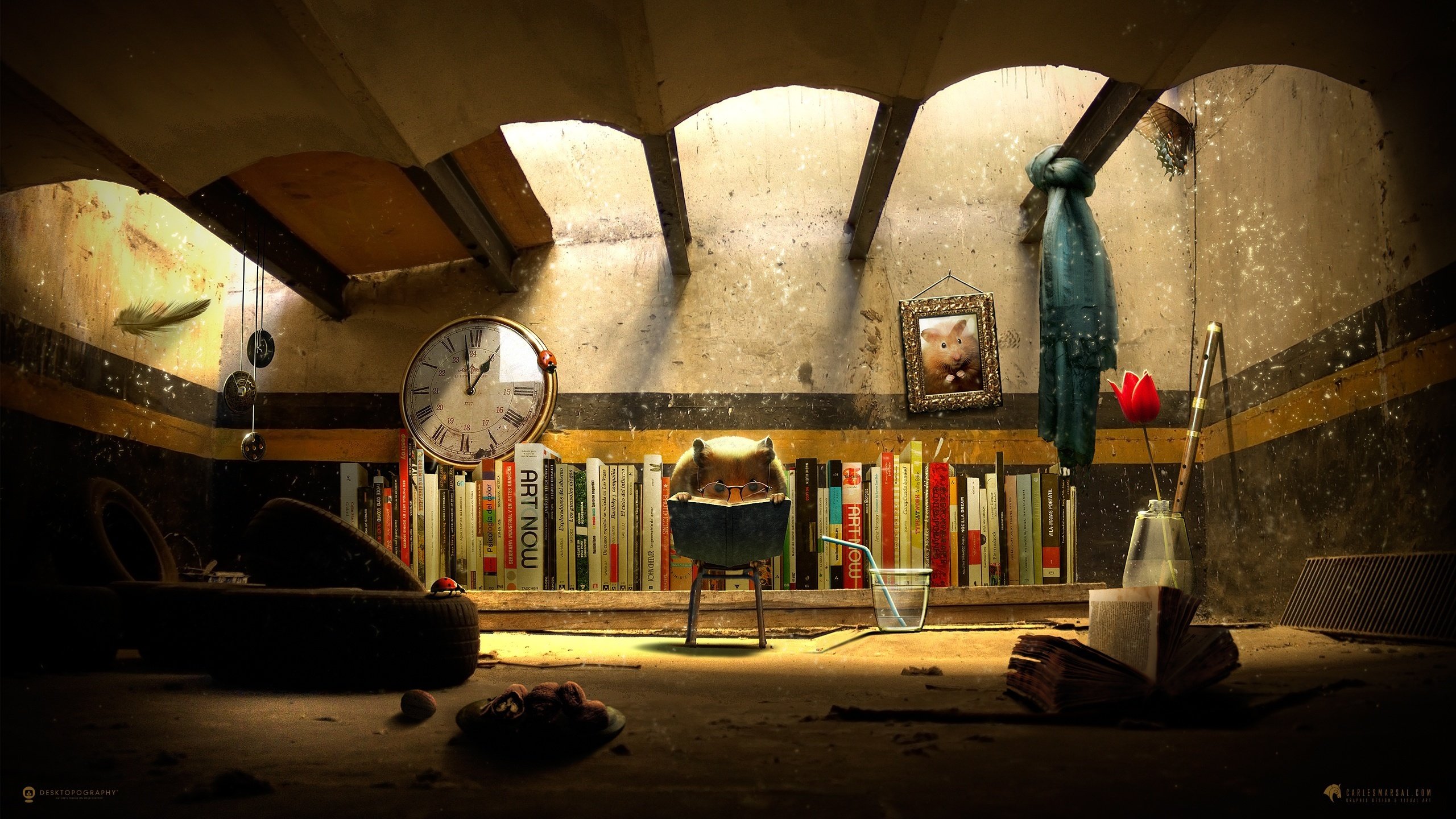 hamster, Books, Watches, Reading, Glasses Wallpaper