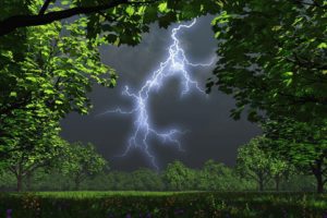 night, Trees, Garden, Storm, Lightning