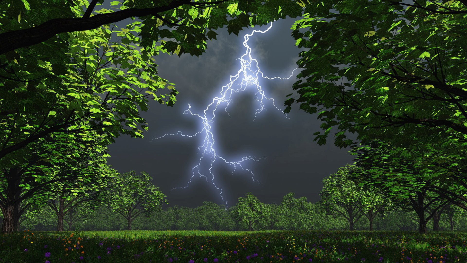 night, Trees, Garden, Storm, Lightning Wallpapers HD / Desktop and