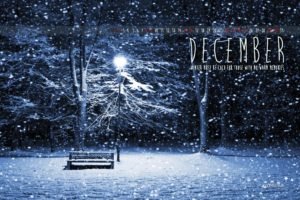 winter, Snow, Nature, Landscape, December, Calendar