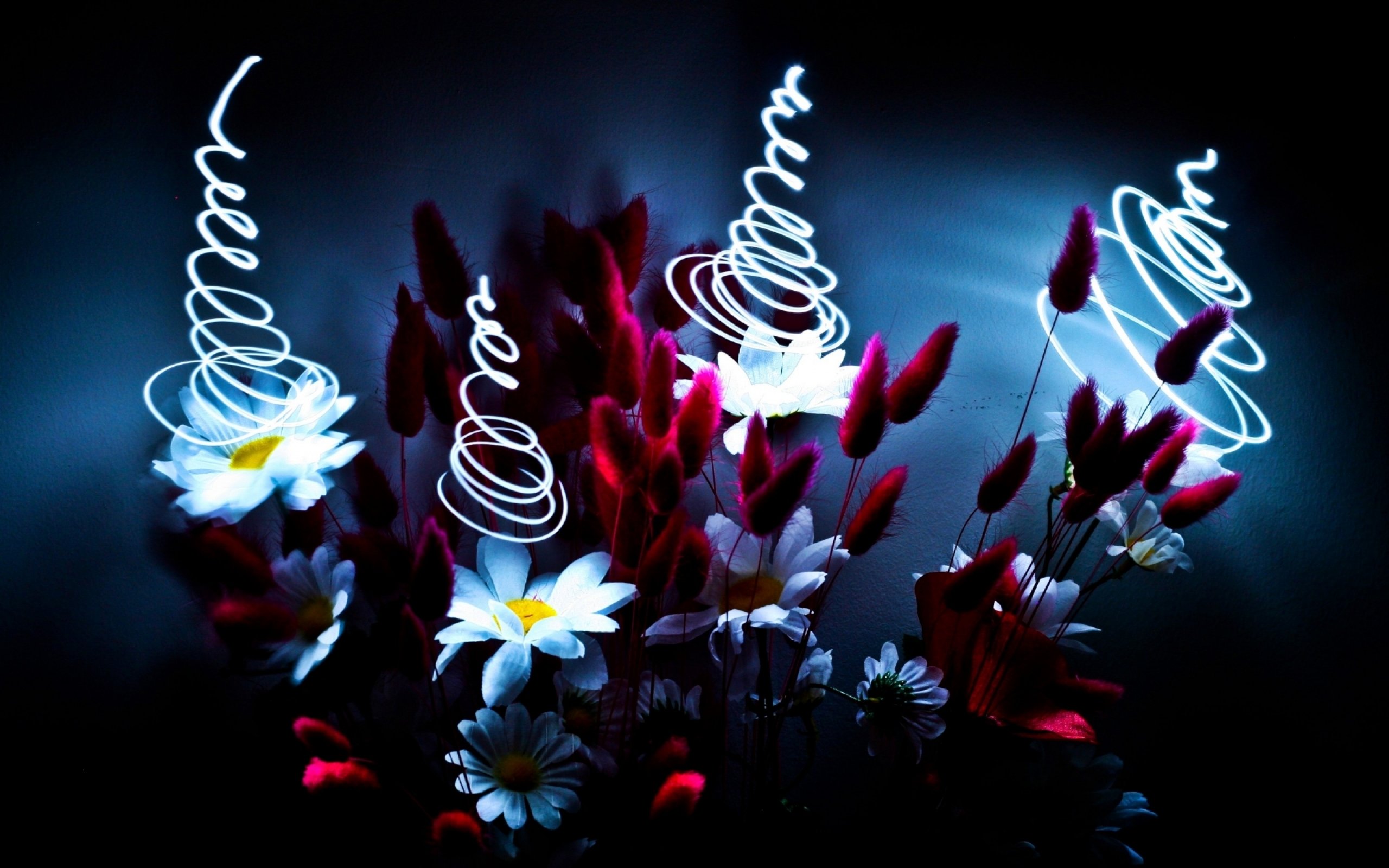 art, Artwork, Photoshop, Manipulation, Fantasy, Photo, Artistic Wallpaper