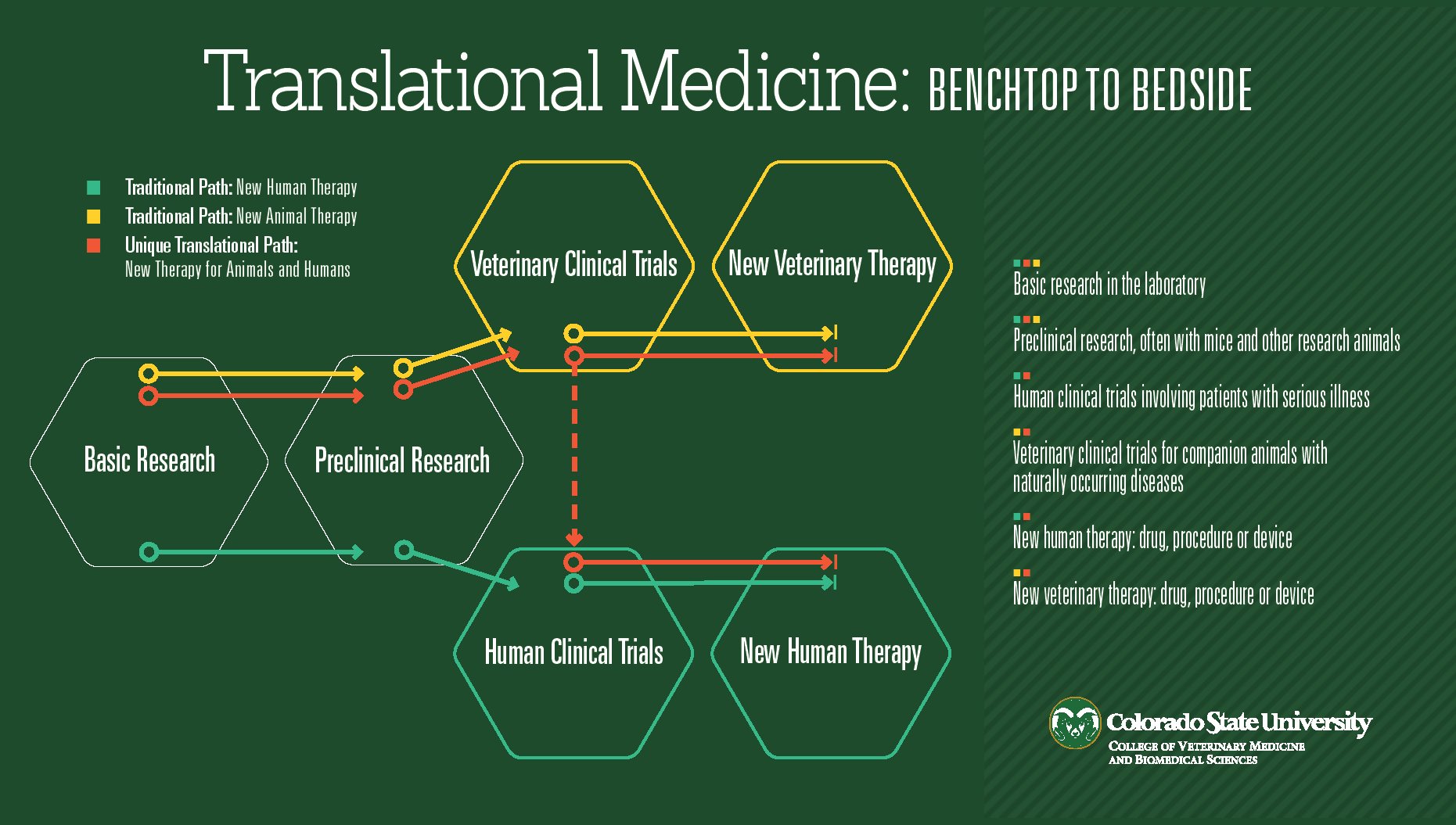 medical, Biology, Detail, Medicine, Psychedelic, Science, Abstract, Abstraction, Chemistry, Genetics Wallpaper