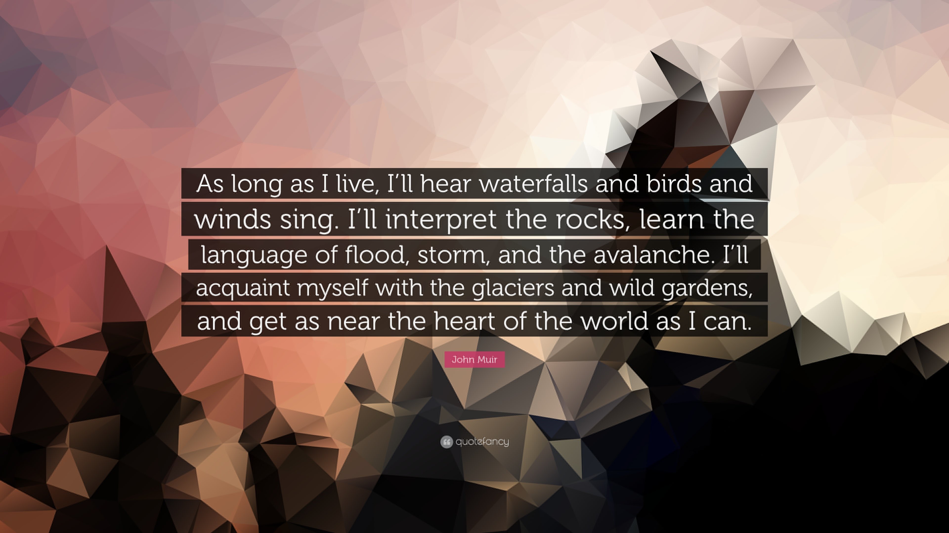 quotes, Typography, Text, Quote, Motivational, Inspirational Wallpaper