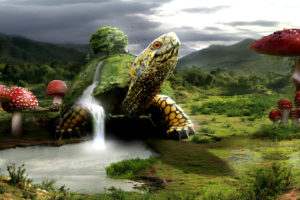 turtle, Turtles, Landscape, Mushroom, Waterfalls, Waterfall