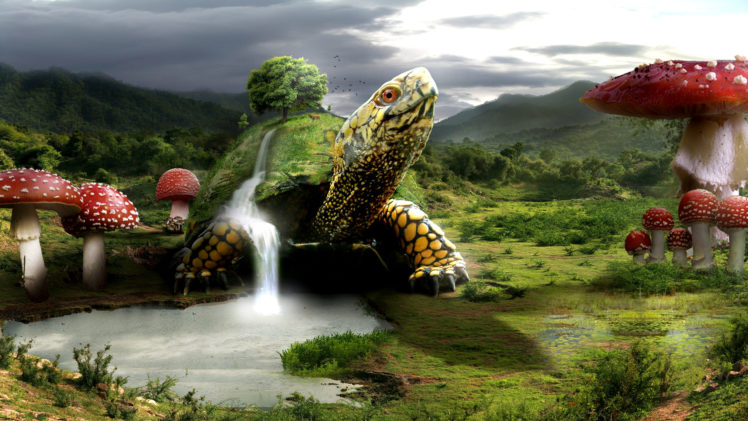 turtle, Turtles, Landscape, Mushroom, Waterfalls, Waterfall HD Wallpaper Desktop Background