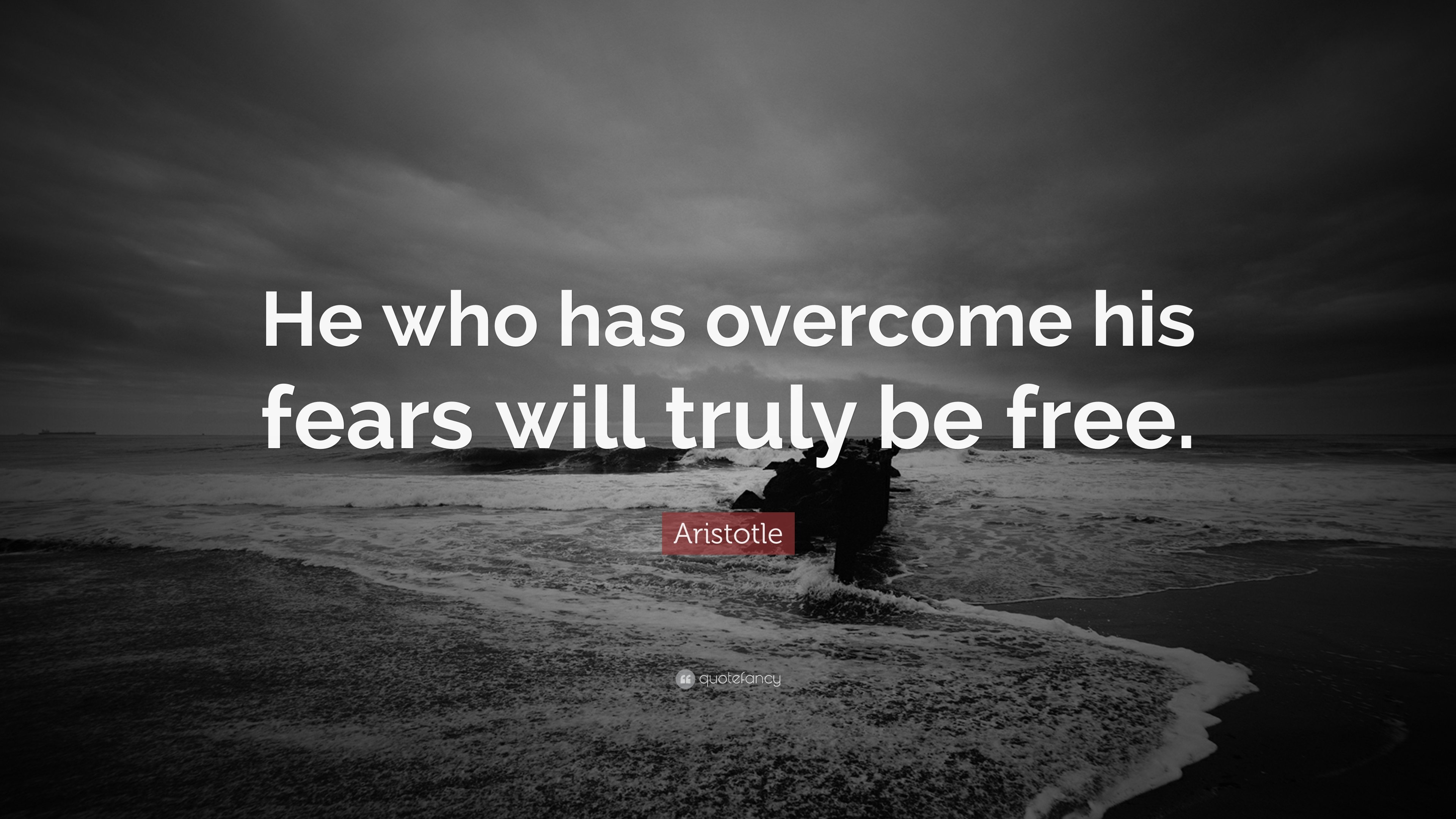quotes, Typography, Text, Quote, Motivational, Inspirational Wallpaper
