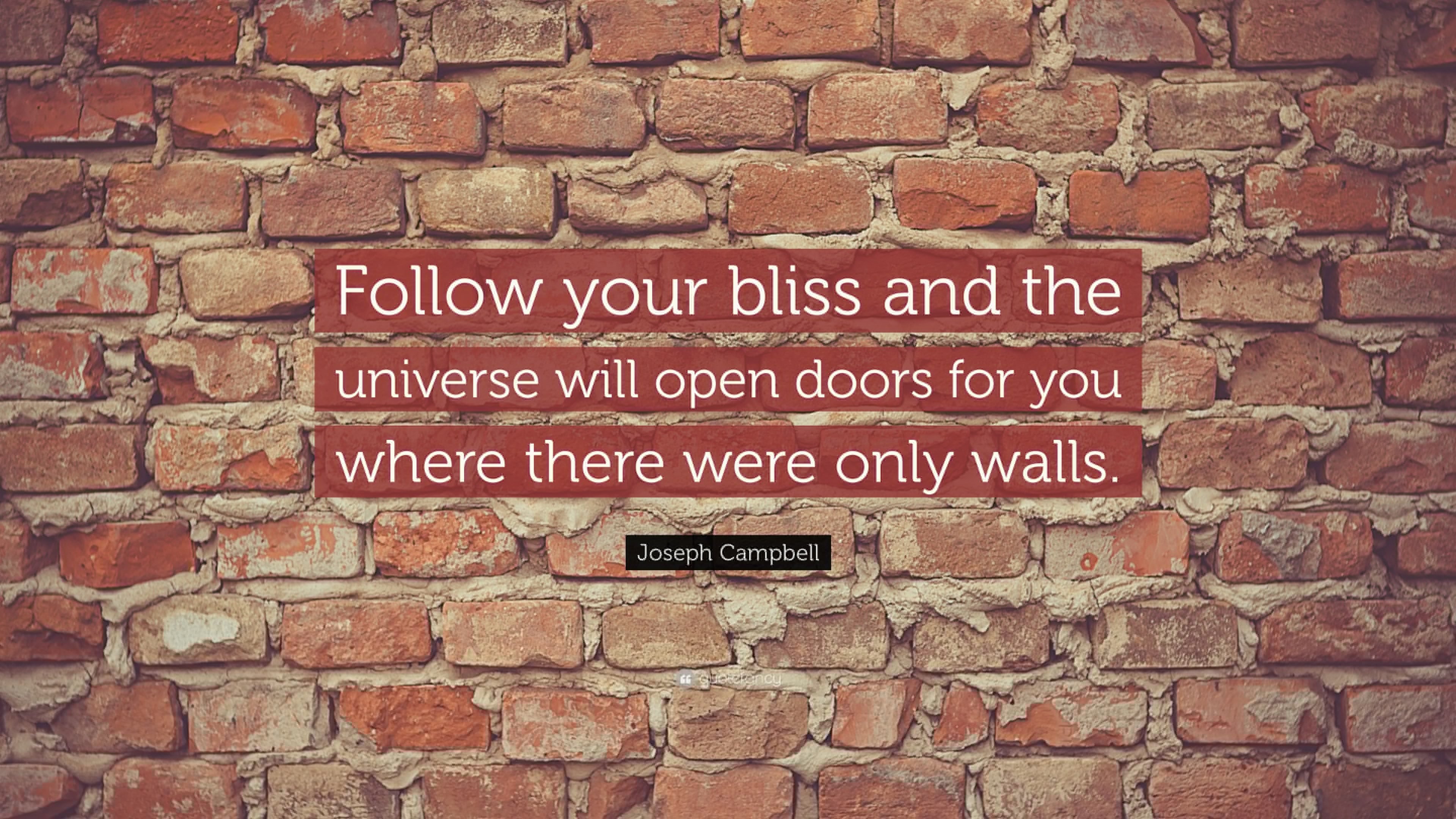 quotes, Typography, Text, Quote, Motivational, Inspirational Wallpaper