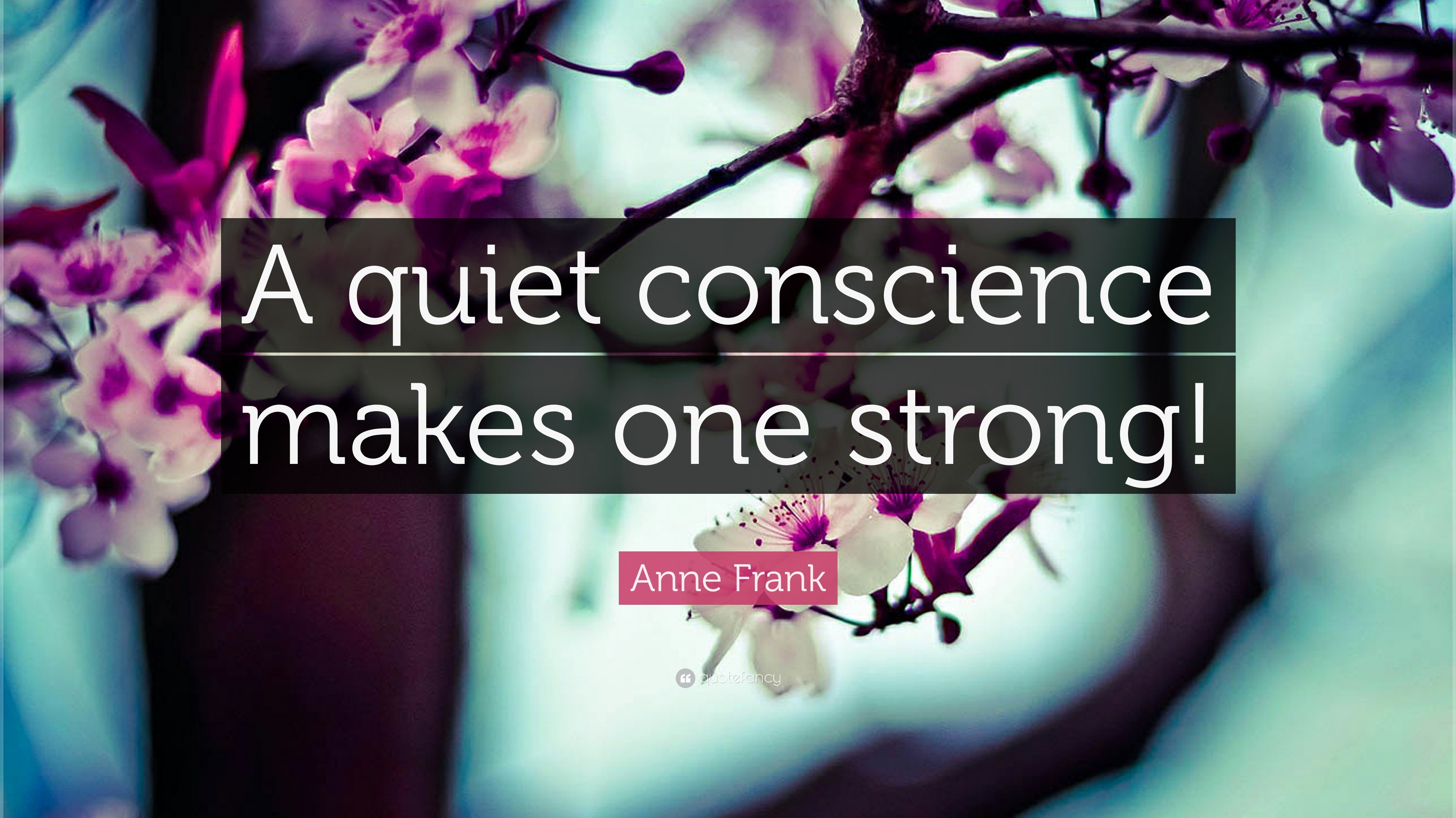 quotes, Typography, Text, Quote, Motivational, Inspirational Wallpaper