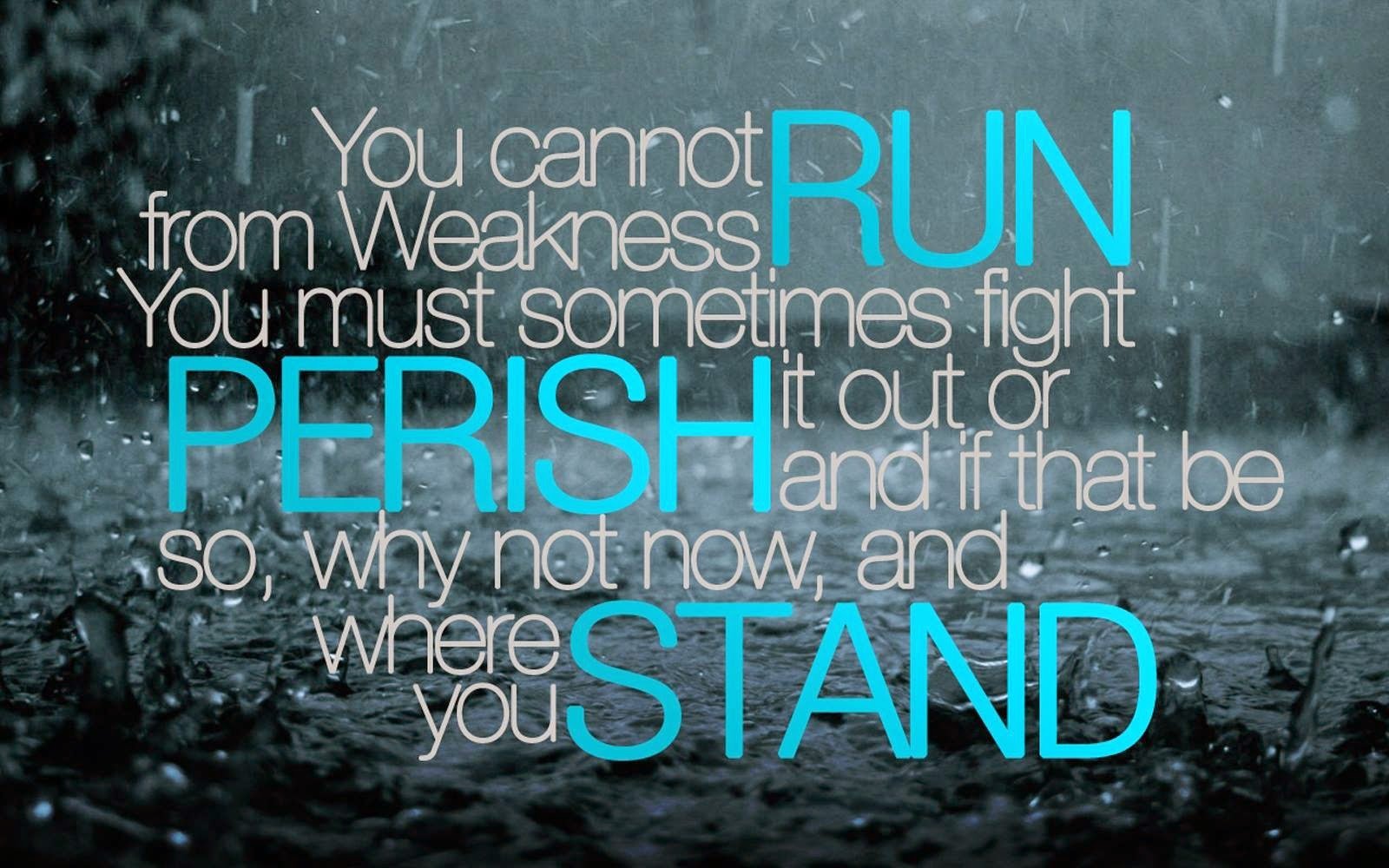 quotes, Typography, Text, Quote, Motivational, Inspirational Wallpaper