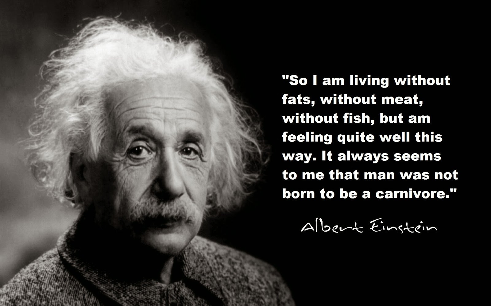 quotes, Typography, Text, Quote, Motivational, Inspirational Wallpaper