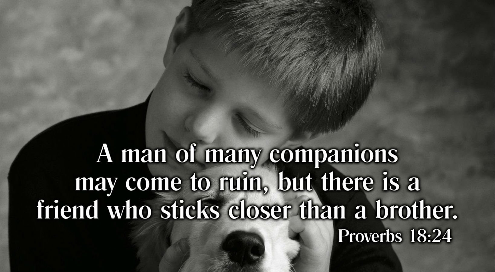 quotes, Typography, Text, Quote, Motivational, Inspirational Wallpaper