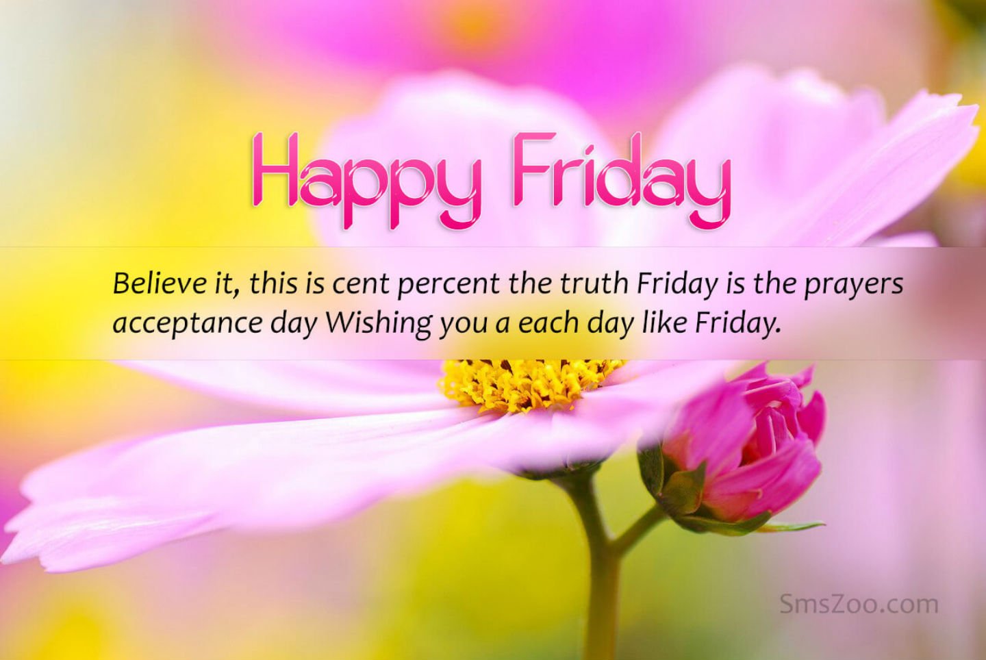 quotes, Typography, Text, Quote, Motivational, Inspirational Wallpaper