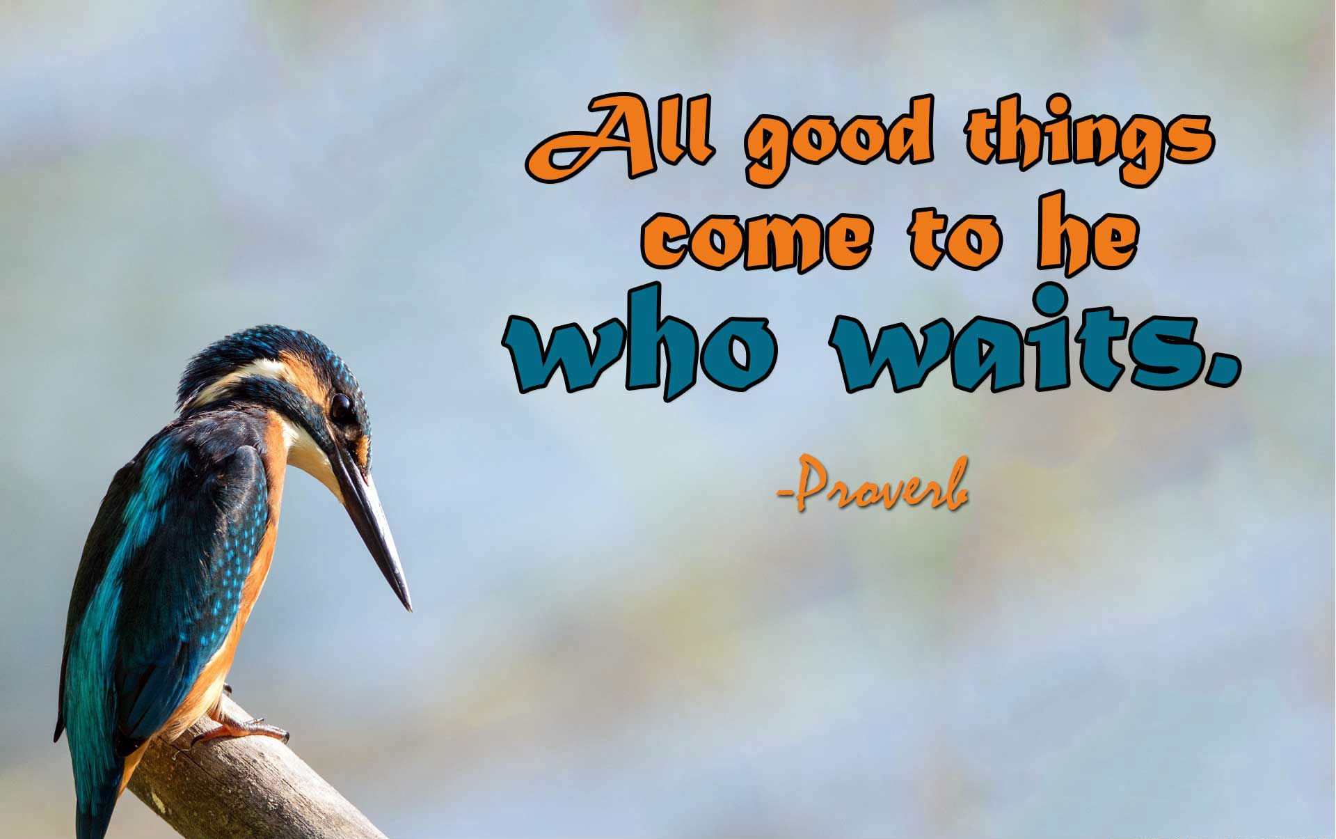 quotes, Typography, Text, Quote, Motivational, Inspirational Wallpaper