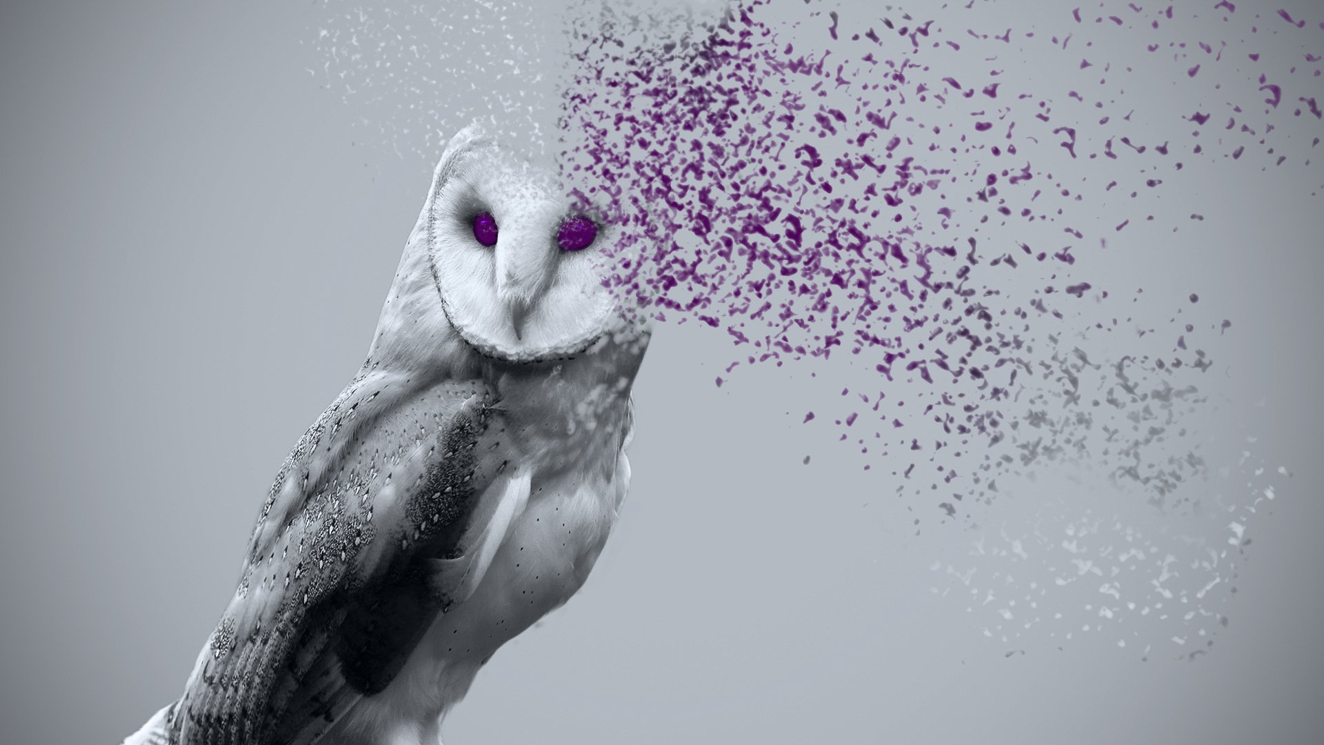 art, Artwork, Fantasy, Artistic, Original Wallpaper