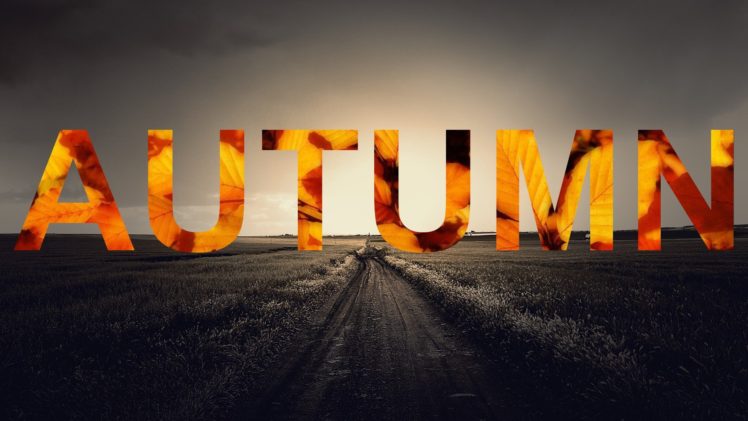 abstracto, Texto, Autumn HD Wallpaper Desktop Background