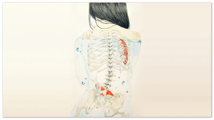 back, Skeleton, White, Koi, Fish, Drawing HD Wallpaper Desktop Background