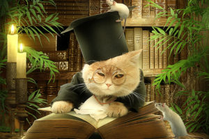 cats, Creative, Hat, Glasses, Book, Humor