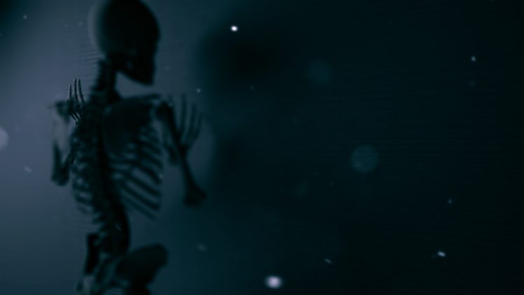 skeleton, Bokeh, Bones HD Wallpaper Desktop Background