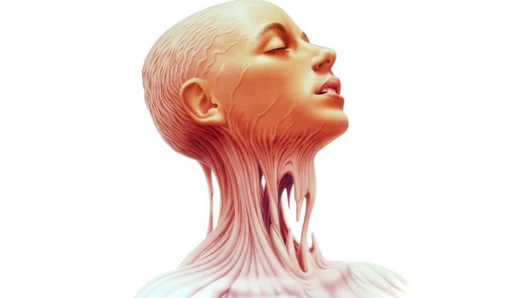 anatomy, Human, Body, Face, Girl HD Wallpaper Desktop Background