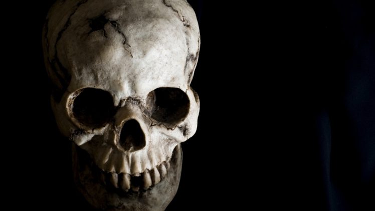 skull, Black HD Wallpaper Desktop Background