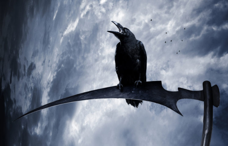 gothic, Crows, Sky, Braid, Hair, Fantasy, Reaper, Scythe HD Wallpaper Desktop Background