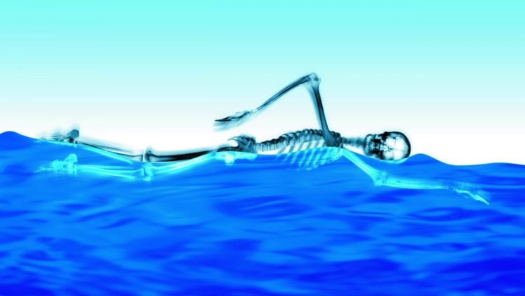 water, Blue, Skeletons, Swimming HD Wallpaper Desktop Background