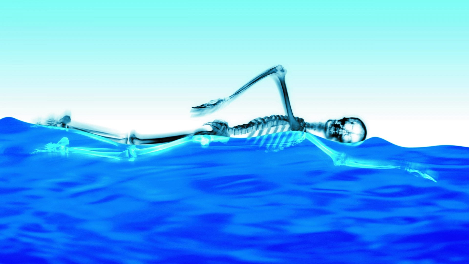 water, Blue, Skeletons, Swimming Wallpaper