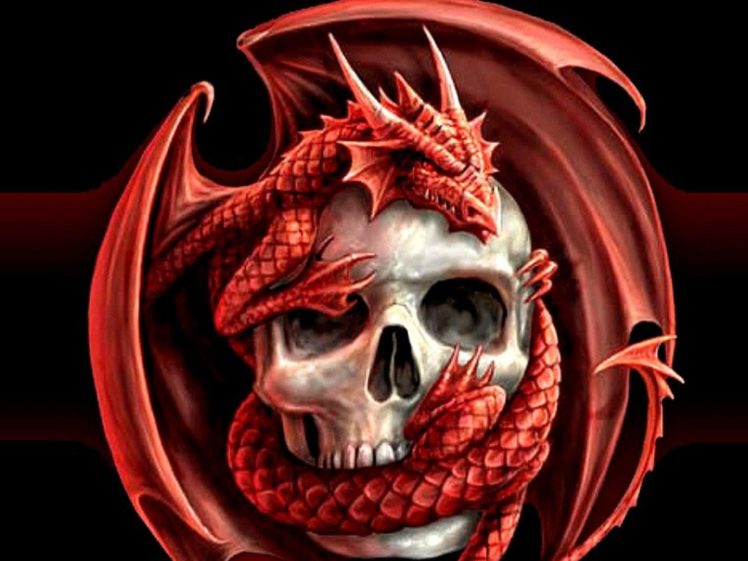 skulls, Dragons HD Wallpaper Desktop Background