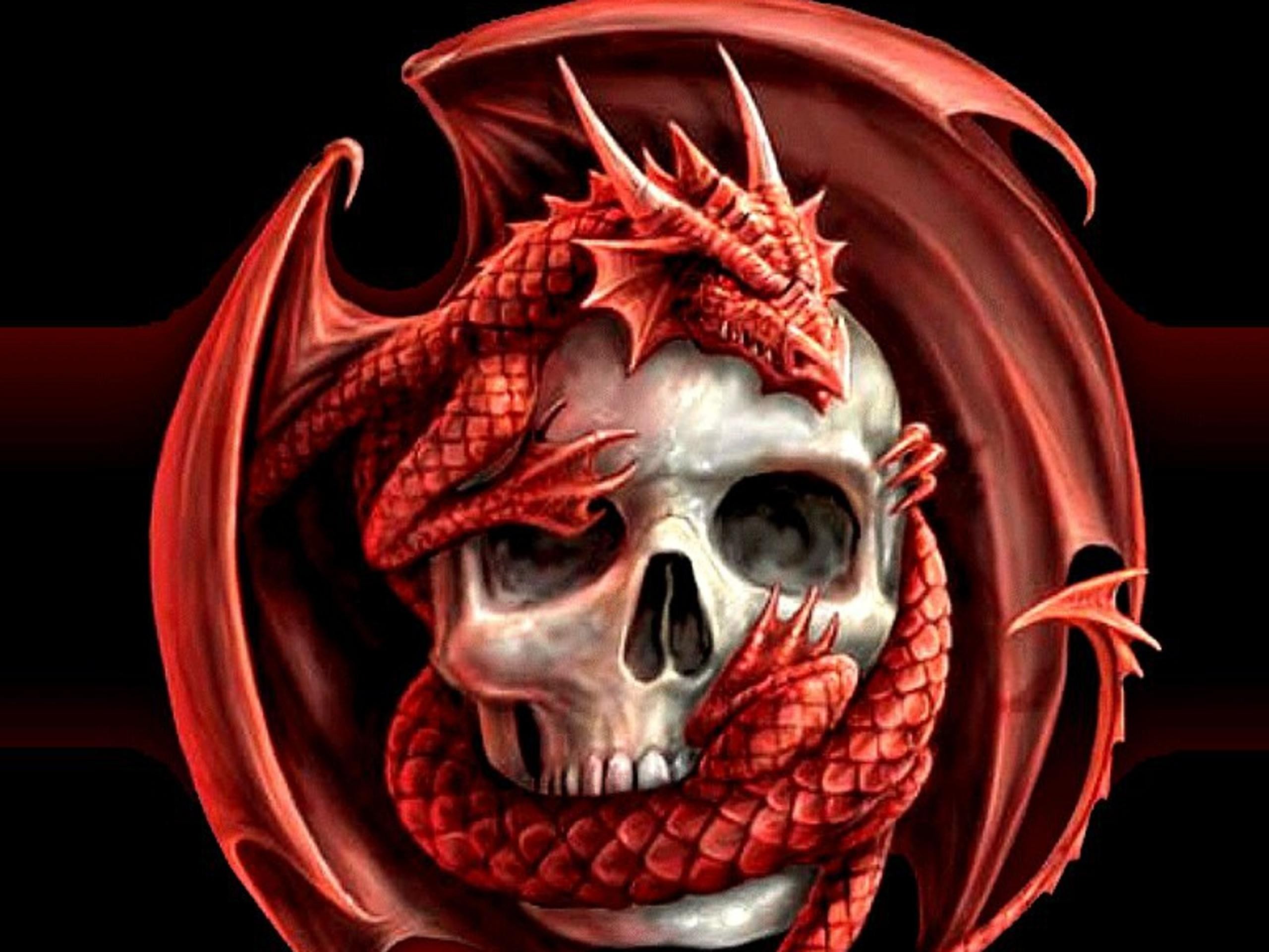 skulls, Dragons Wallpaper